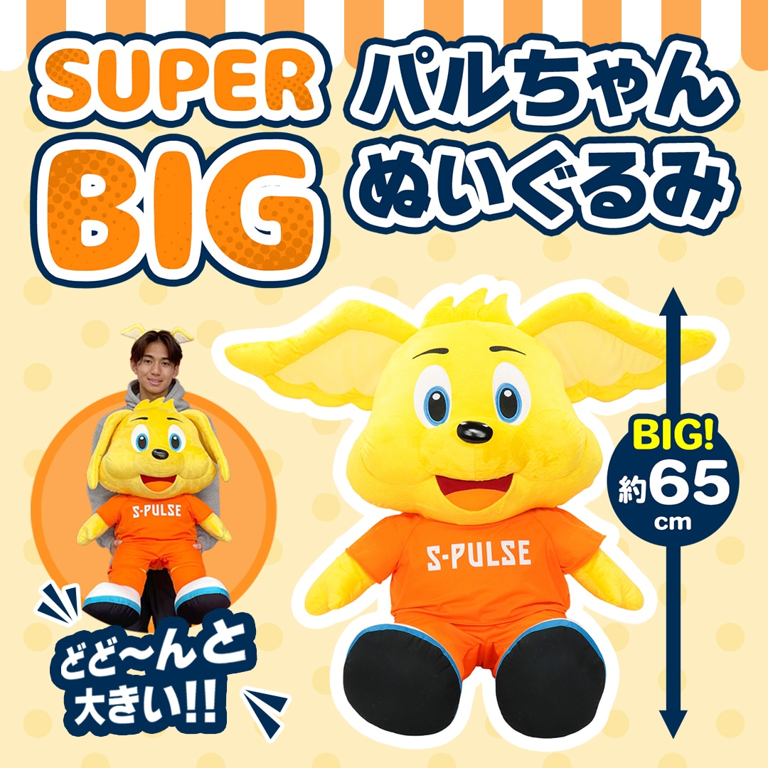 エスパルス移動着5点セット 予約販売商品 | アイテム一覧 | エスパルス公式オンラインストア